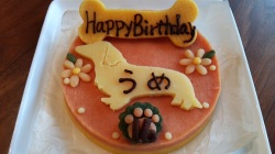 ロビナさんの誕生日ケーキ