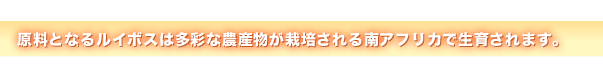 原料となるルイボスは多彩な農産物が栽培される南アフリカで生育されます。