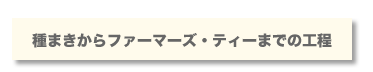 種まきからファーマーズ・ティーまでの工程